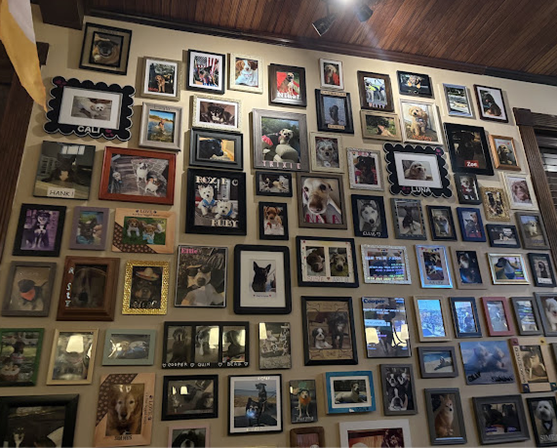 Inside Rosie's Tavern of New Port Richey — the dog photo wall